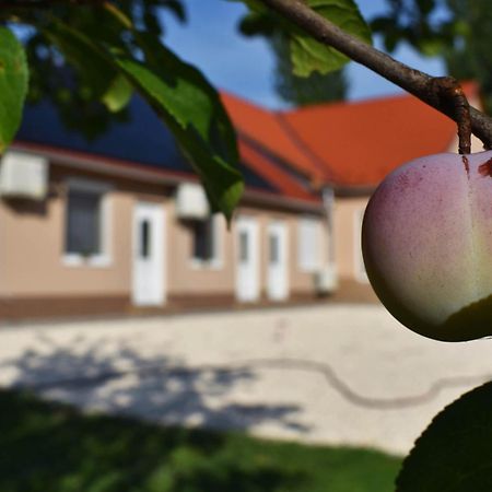 Napfeny Apartman Makó Εξωτερικό φωτογραφία